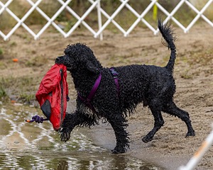20210912-MWD-0137.jpg