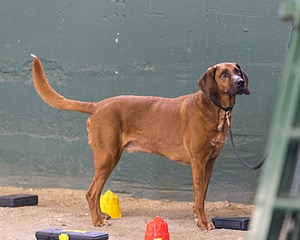 20260718-NSKC-0584.jpg