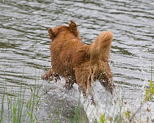 20080531-HRW-0690.jpg