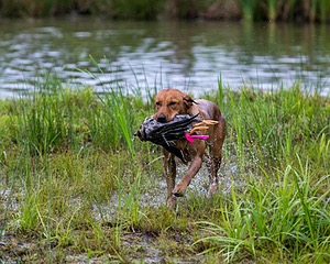 20150913-SEAW-0645.jpg