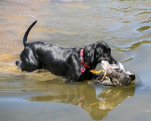 20150912-SHRW-0009.jpg