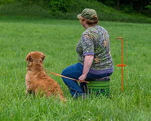 20170603-SHRL-0036.jpg