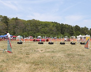 20150612-CCKCMC-0067.jpg