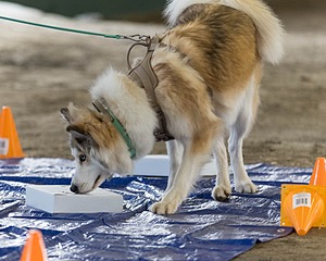 20260718-NSKC-0125.jpg