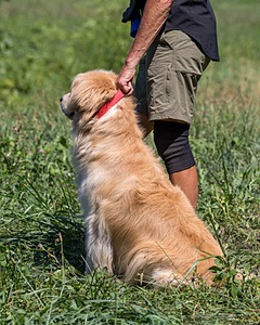Piper Stremlau