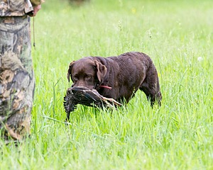 20160605-SHRL-0006.jpg