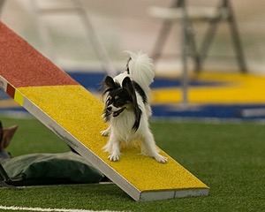 20150321-LEAP-1738.jpg