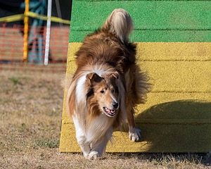 20160618-CCKC-2437.jpg