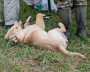 20150913-C-0020.jpg