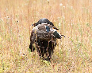20141004-WCXL-0014.jpg
