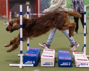 Maeven Van Auken