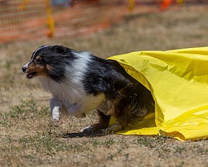 20160619-CCKC-1277.jpg