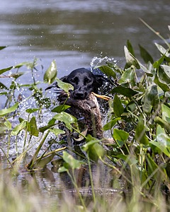 20210807-SHW-0019.jpg