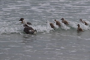 20191211-0390.jpg