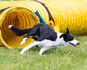 20160515-NEAT-0684.jpg