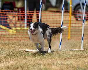 20160619-CCKC-1068.jpg