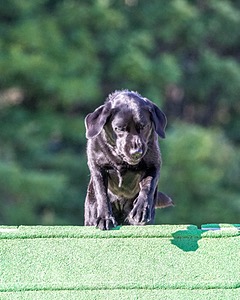 20160618-CCKC-2480.jpg