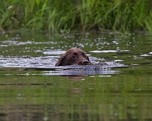 20130713-MHB2-0353.jpg