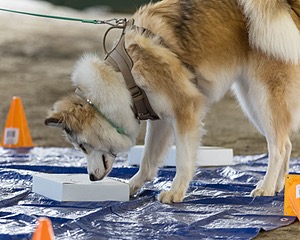 20260718-NSKC-0126.jpg