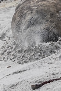 20191217-0435.jpg