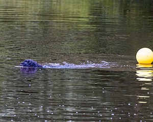 20210912-MWD-0246.jpg
