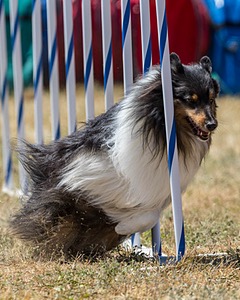 20160618-CCKC-1825.jpg