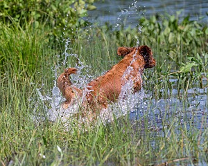 LUNA DUFFY