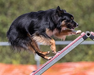 20200819-2181.jpg