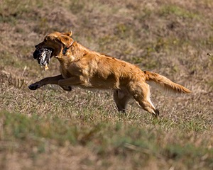 20221008-WCL-0116-Edit.jpg