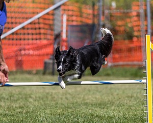 20200819-2379.jpg