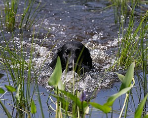 20140810-SHW-0011.jpg