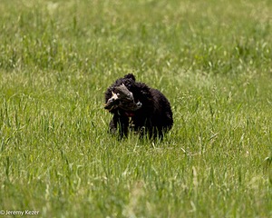 20220613-WD-0348.jpg
