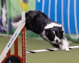 Breeze Schunk