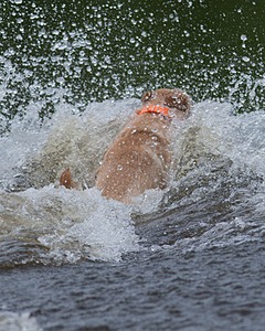 20080601-SRW-0657.jpg