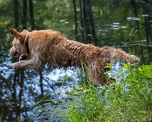 20170716-WCXW-1058.jpg