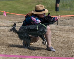 Dottie Notestine