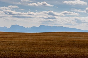 Montana Plains