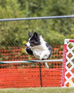 20200819-1394.jpg