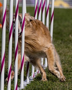 20230916-PVKC-1370.jpg