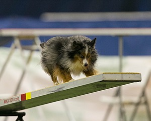 20150321-LEAP-1594.jpg