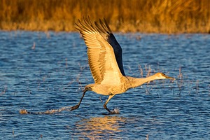 20151206-1527.jpg