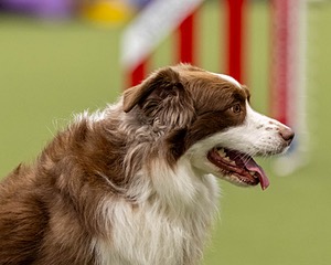 20260221-C-0017.jpg