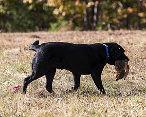 20201011-WCL-0386.jpg