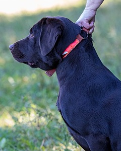 Molly Brownell