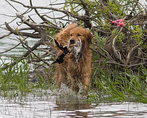 20080531-HRW-0285.jpg