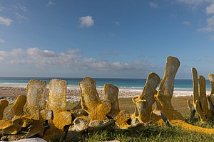 20191210-0337.jpg