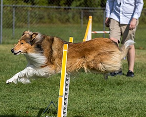 20200819-0904.jpg