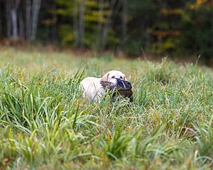 20241013-WCL-0004.jpg