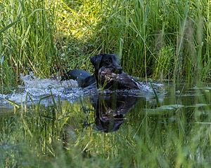 20210606-FINW-0410.jpg