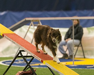 20150321-LEAP-0951.jpg